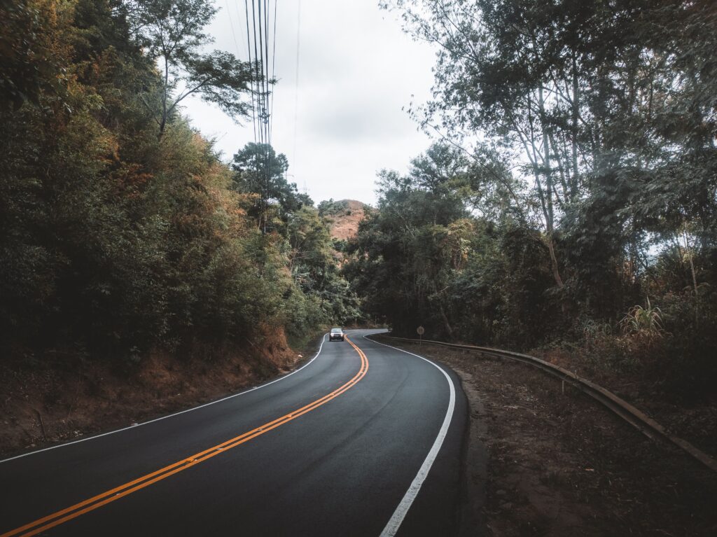 pexels photo 12730719 12730719 Curved mountain road surrounded by lush forest, ideal for a serene road trip adventure.